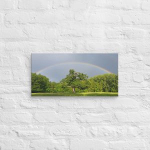 Natural Rainbow over Green Leaf Tree Canvas